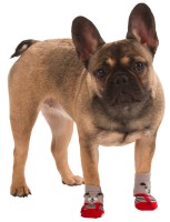 Skarpety dla psa Bruno, 3 x 7,5 cm, S, Kerbl