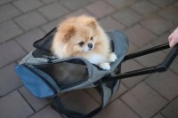 Torba podróżna na kółkach dla psa Vacatio… | poltechparts.pl