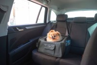 Torba podróżna dla psa Vacation, 44 x 35… | poltechparts.pl