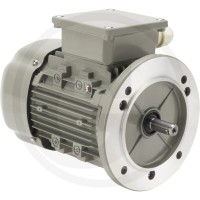 GRANIT Silnik elektryczny 80-4-B3/5-2/4-0,75 IE 85004052 - 85004052 - Sklep rolniczy PoltechParts