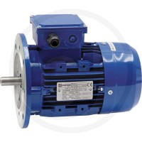 GRANIT Silnik elektryczny 80-4-B3/5-2/4-0,75 IE 85004052 - 85004052 - Sklep rolniczy PoltechParts