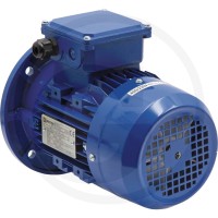 GRANIT Silnik elektryczny 80-4-B3/5-2/4-0,75 IE 85004052 - 85004052 - Sklep rolniczy PoltechParts