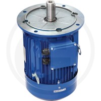 GRANIT Silnik elektryczny 132M-4-B3/5-4/6-7,5 I 85004059 - 85004059 - Sklep rolniczy PoltechParts