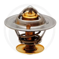 GRANIT Termostat 74702272 - 74702272 - Sklep rolniczy PoltechParts