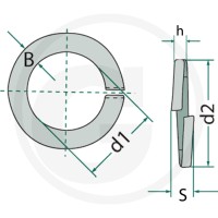 GRANIT Pierścień sprężysty 4877980002 - Sklep PoltechParts
