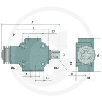 Oleodinamica Marchesini Ogranicznik posuwu NO-V-FCR 1T- 3/4"BSP 85002368 - Sklep PoltechParts