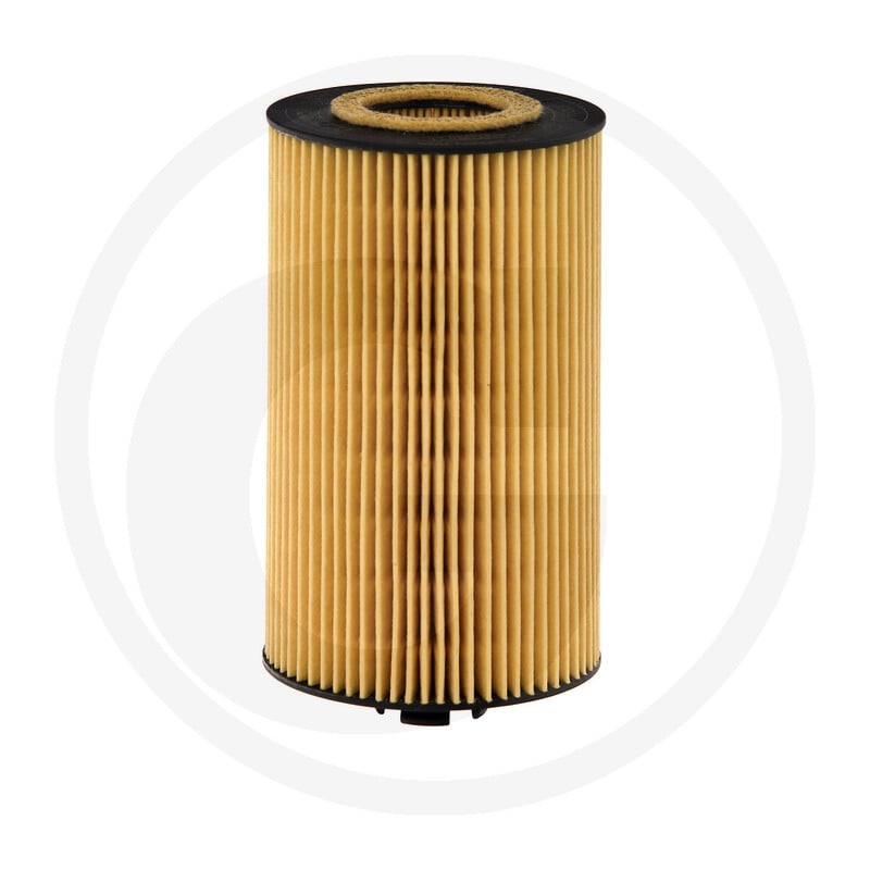 Hengst Filtr oleju 12055936