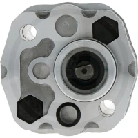 GRANIT Gr-1 Pump 1,1cc Right Compact Aggr. 87020084 - 87020084 - Sklep rolniczy PoltechParts