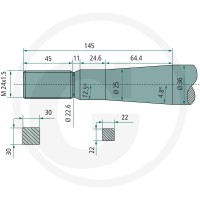 SHW Ząb 43008202401 - Sklep PoltechParts