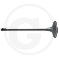 GRANIT Zawór ssący 38004546 - 38004546 - Sklep rolniczy PoltechParts