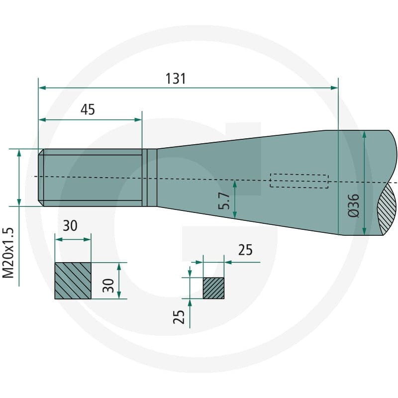 SHW Ząb 43006002000 - Sklep PoltechParts