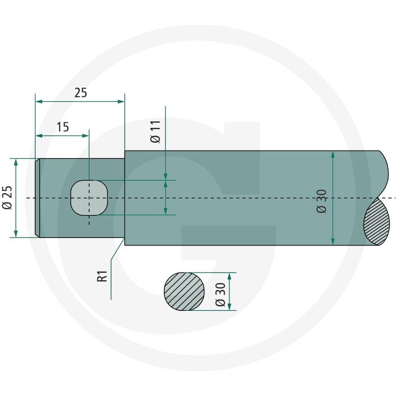 SHW Ząb 43008000000 - Sklep PoltechParts