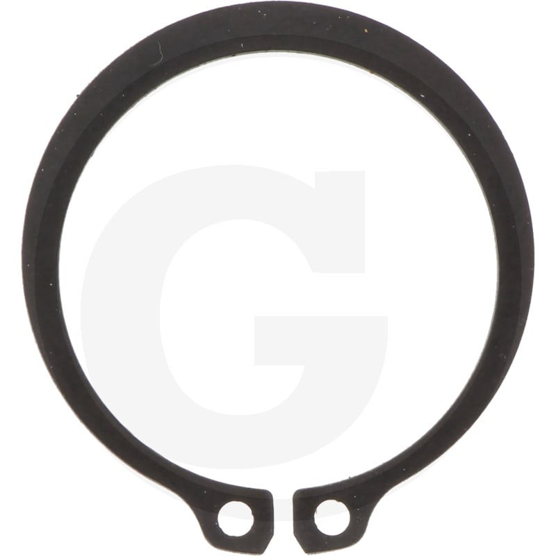 ZF Pierścień zabezpieczający 5450630501029