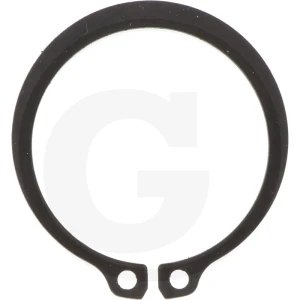 ZF Pierścień zabezpieczający 5450630501029