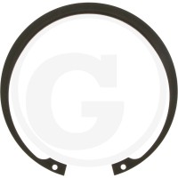 Walterscheid Pierścień osadczy 395364499 | poltechparts.pl
