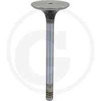 GRANIT Zawór wydechowy 38006051 - 38006051 - Sklep rolniczy PoltechParts