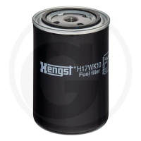 Hengst Filtr paliwa 866H17WK10 | poltechparts.pl