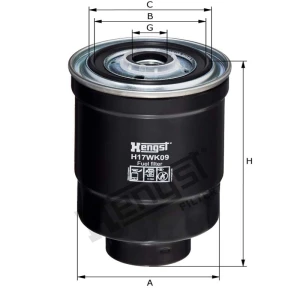 Hengst Filtr paliwa 866H17WK09