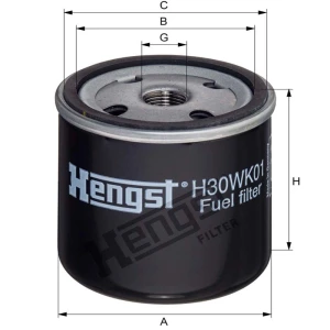 Hengst Filtr paliwa 866H30WK01