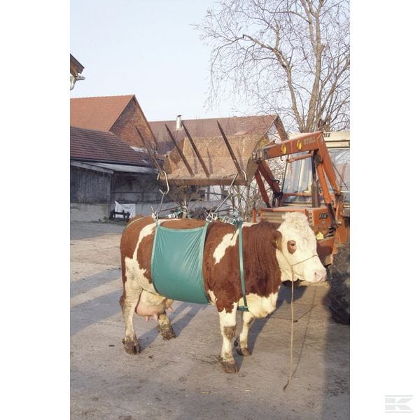 Podnośnik temblakowy dla bydła — VV1049 | poltechparts.pl