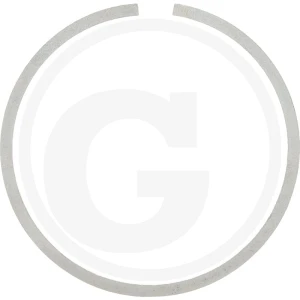 Carraro ROTARY SEAL RING D55 419138788