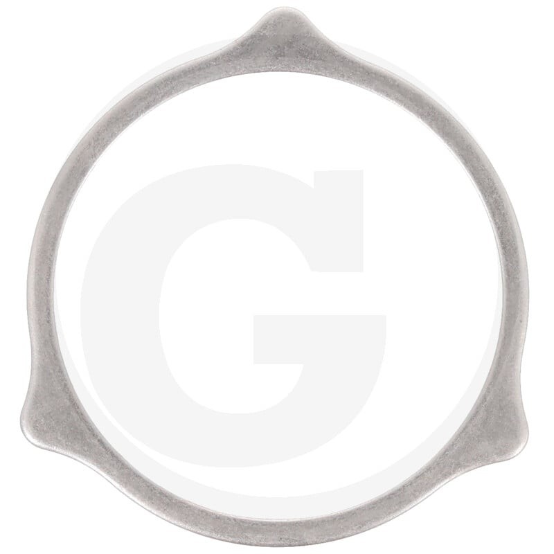 Carraro THRUST WASHER 419139657