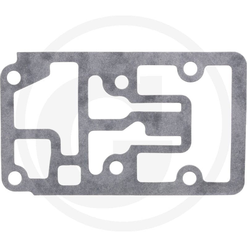 Carraro Uszczelka 419130242