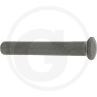 Hesterberg Sworzeń wahliwy surowy 603107800 22010106 - Sklep PoltechParts