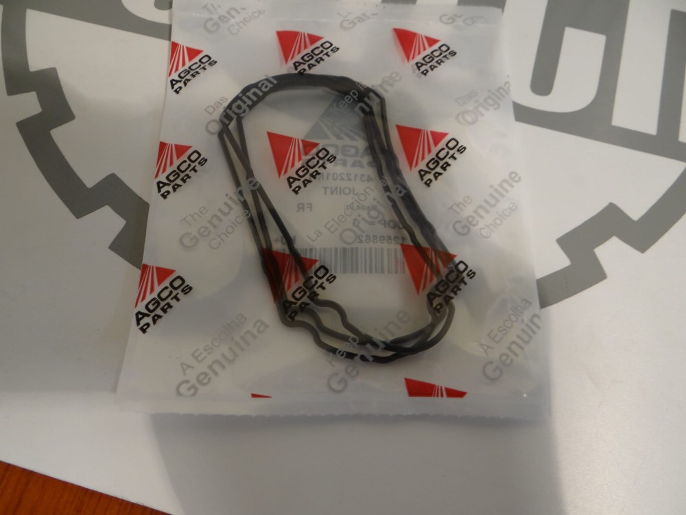 USZCZELKA MASSEY FERGUSON 4312201m1