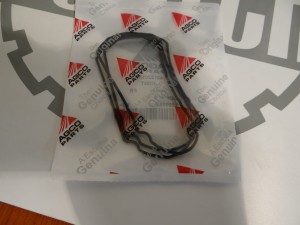 USZCZELKA MASSEY FERGUSON 4312201m1