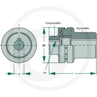 OMT Sprzęgło Ø38 grupa 2 1:8 Ø86 85004045 - Sklep PoltechParts