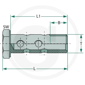 GRANIT Dwustronna śruba drążona BSP 1/4" 87012168