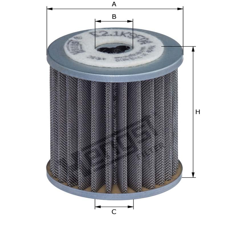 Hengst Filtr paliwa 866E2.1KSF04 | poltechparts.pl
