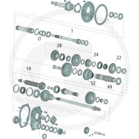 GRANIT Koło zębate 70817116 - 70817116 - Sklep rolniczy PoltechParts