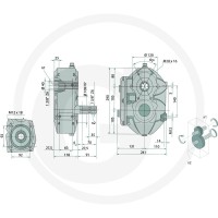 BONDIOLI & PAVESI Przekładnia zębata czoł… | poltechparts.pl