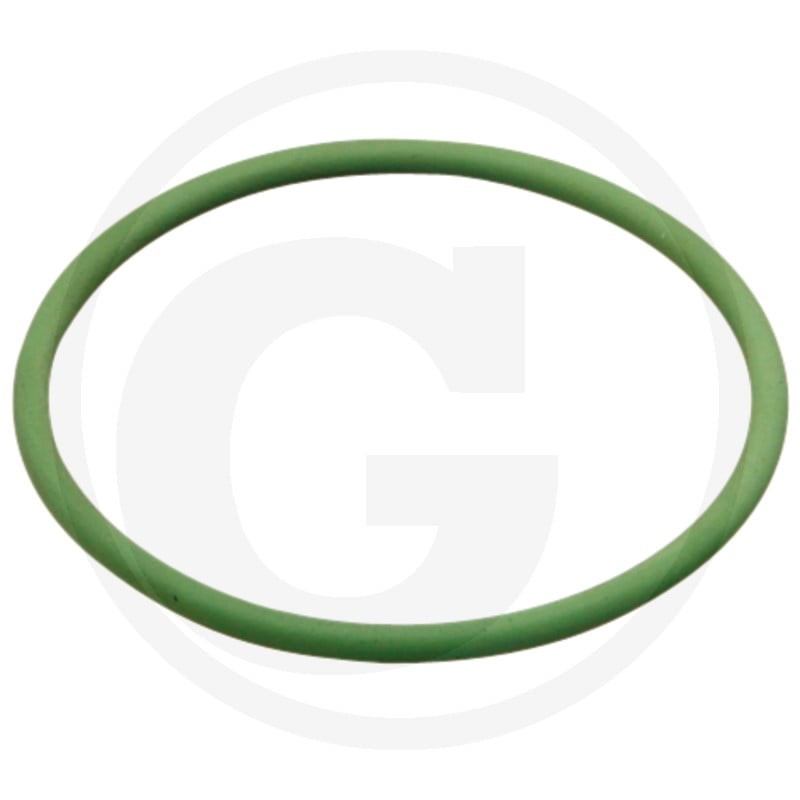 ARAG Oring 670460000210V