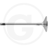 GRANIT Zawór ssący 38004559 - 38004559 - Sklep rolniczy PoltechParts