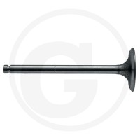 GRANIT Zawór ssący 38015391 - 38015391 - Sklep rolniczy PoltechParts