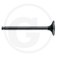 GRANIT Zawór wydechowy 38015393 - 38015393 - Sklep rolniczy PoltechParts