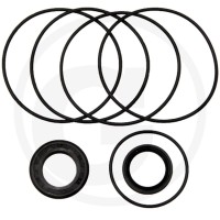 WHITE Uszczelka wału, OMP seria 7, OMR seria 5 257633B3385 - 257633B3385 - Sklep rolniczy PoltechParts