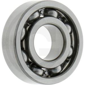 BOSCH Rillenkugellager 2501900900305