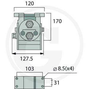 Faster Gniazdo P206G gwint wew. 2x 1/2" BSP 86002400