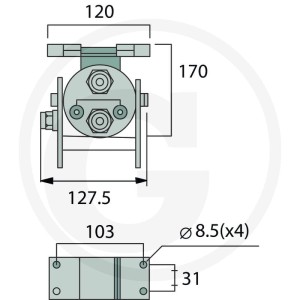 Faster Wtyczka P206G gwint wew. 2x 1/2" BSP 86002401