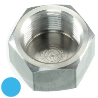 PH SKKA NPT-f 3/4 VA 60904268 - Sklep PoltechParts