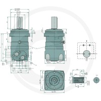 WHITE Silnik hydrauliczny OMT 250 257151B3008 - Sklep PoltechParts