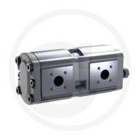 Bosch/Rexroth Pompa podwójna 2560510665382 - Sklep PoltechParts