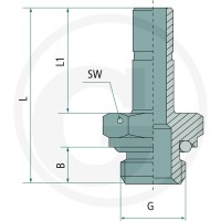 GRANIT B-GES-10-3/8-MSv Wtyczka prosta wkręcana 60603032553 - Sklep PoltechParts