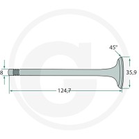 GRANIT Zawór wydechowy 38004551 - Sklep PoltechParts
