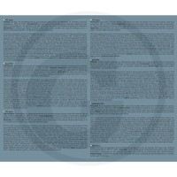 GRANIT Spray PTFE 300 ml 320320129 - Sklep PoltechParts