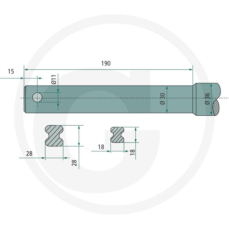 SHW Ząb 43008200002 - Sklep PoltechParts